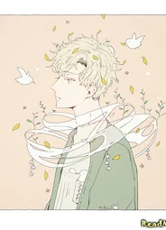 Moonlight Dreamers