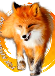 Fox Kingdom Team