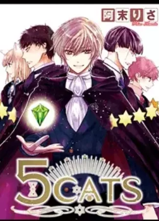 5 кошек